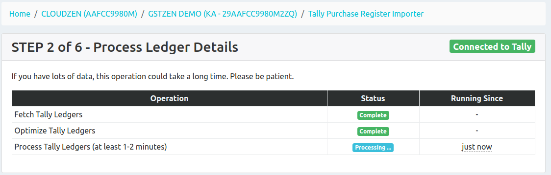 Process Tally Ledger Details